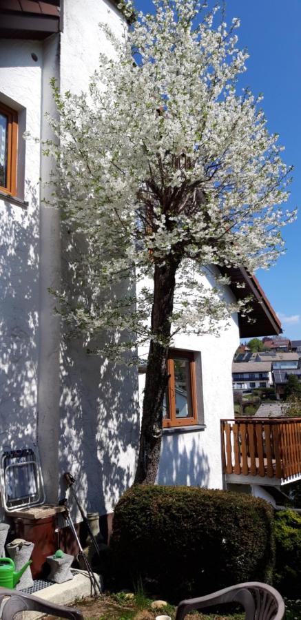 Haus Levi Διαμέρισμα Neukirch  Εξωτερικό φωτογραφία